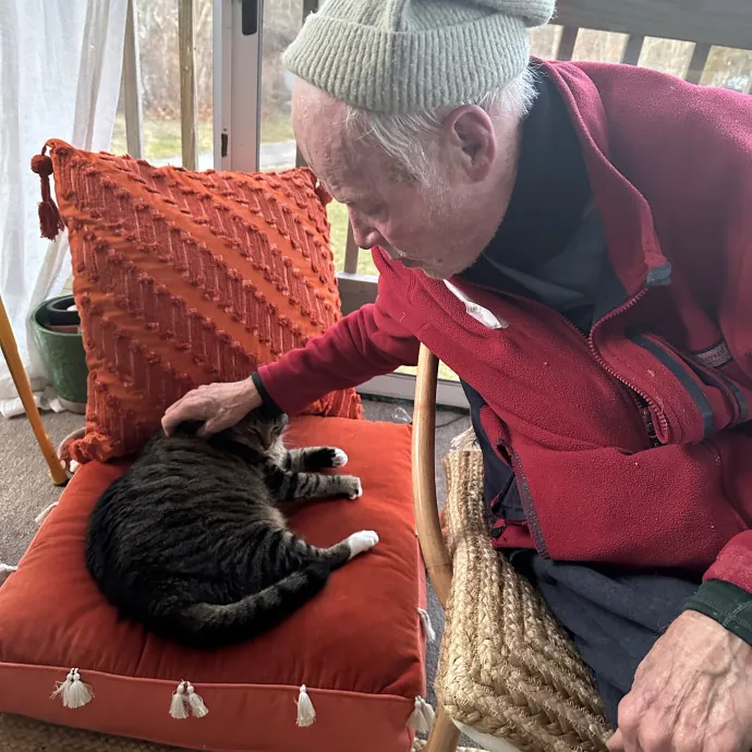 Seasoned Cat Mom For Cape Cod Kitty Care photo 3