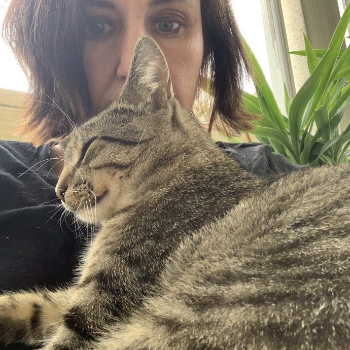 Seasoned Cat Mom For Cape Cod Kitty Care photo 2