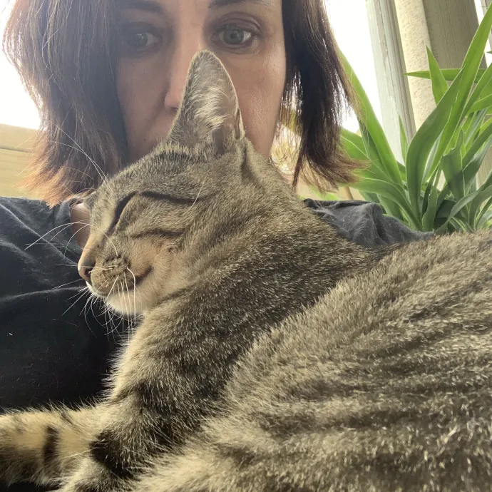 Seasoned Cat Mom For Cape Cod Kitty Care photo 2