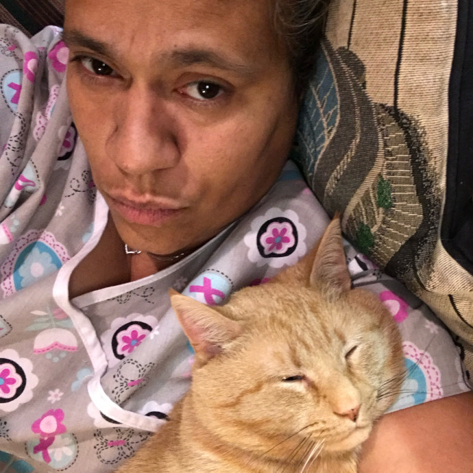 Your Cats My Passion Purr-Fect Combo