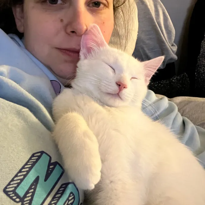 Crazy Cat Lover For Hire photo 3