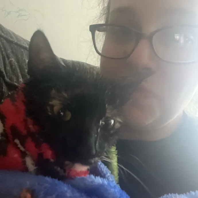 Crazy Cat Lover For Hire photo 2