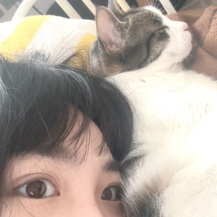 Gentle Reliable Cat Sitter photo 3