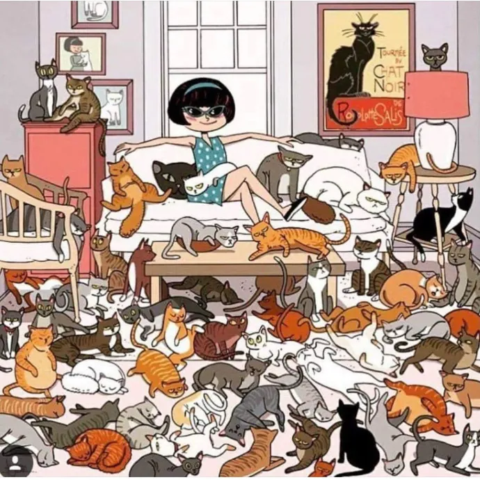 Nyc Cat Mama Looking 2 Cat Sit 4 You