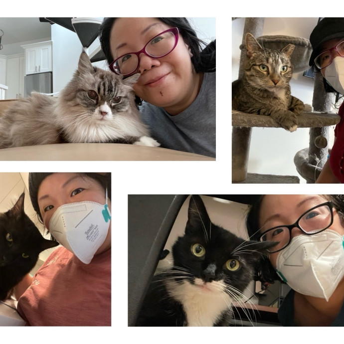 Nyc Cat Mama Looking 2 Cat Sit 4 You