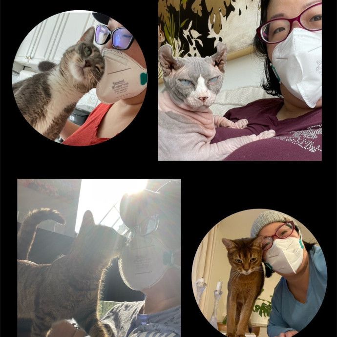 Nyc Cat Mama Looking 2 Cat Sit 4 You