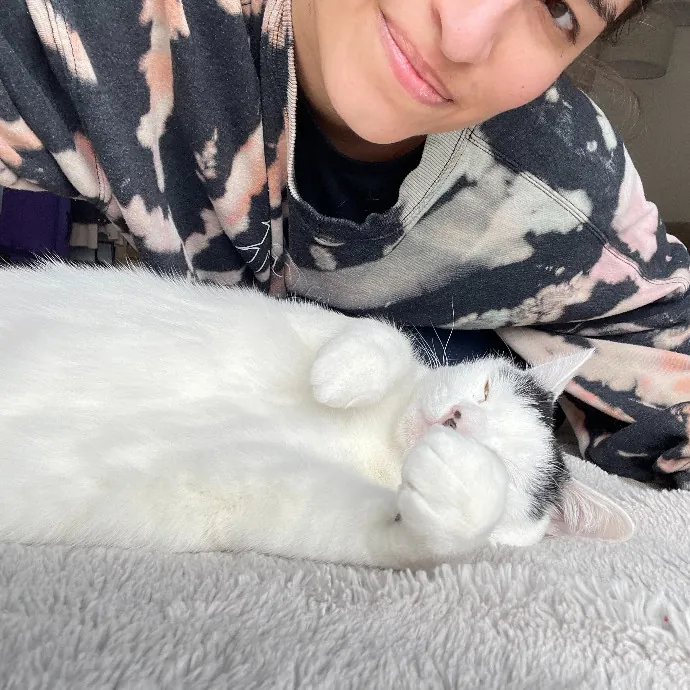 Lianna's Furry Feline Care In San Diego