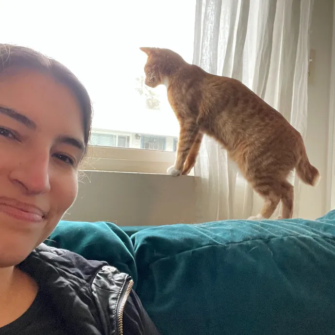 Lianna's Furry Feline Care In San Diego