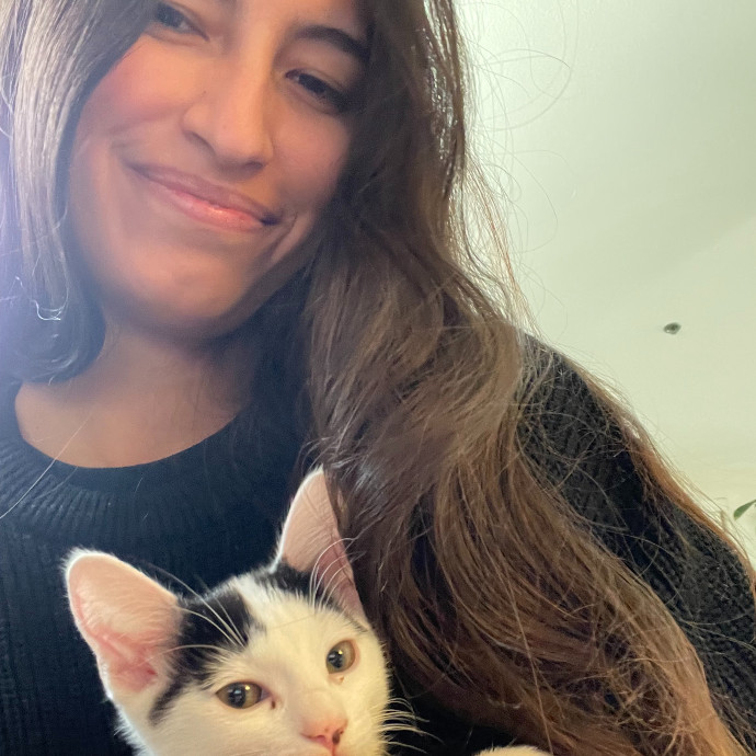 Lianna's Furry Feline Care In San Diego