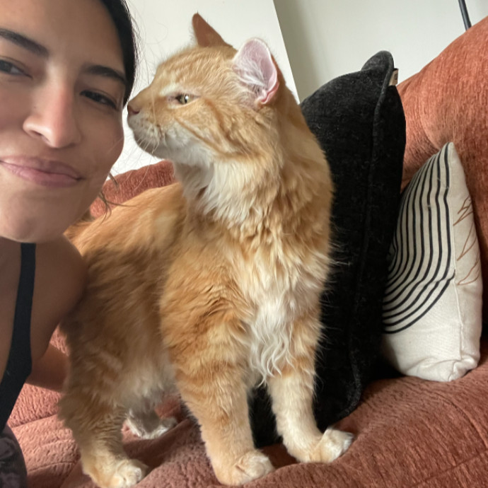 Lianna's Furry Feline Care In San Diego photo 2