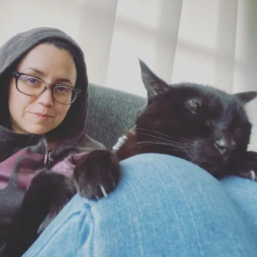 Loving Reliable  Honest Cat Care