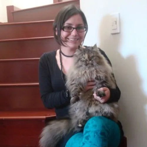 Loving Reliable  Honest Cat Care