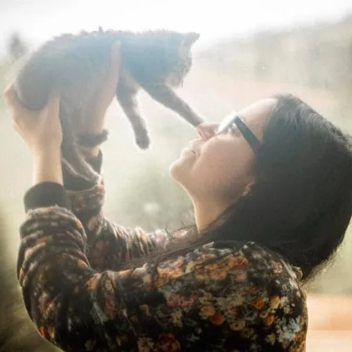 Loving Reliable  Honest Cat Care