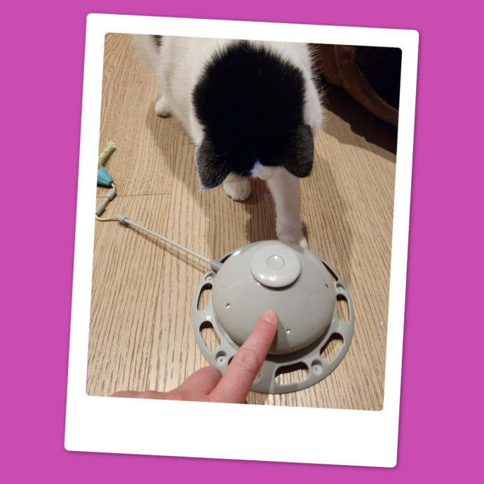 Eugenia Loves Cats photo 2