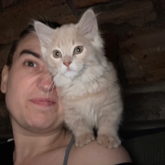 Meg's Meowtastic Kitty Care