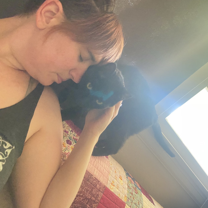Meg's Calm Kitty Care photo 3