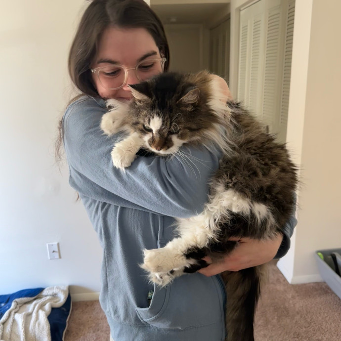Whisker Whisper- Calm  Cozy Care