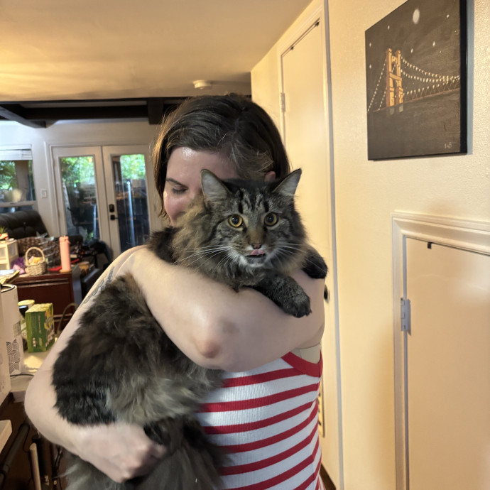 Catitude Catsitting By Emma Kat