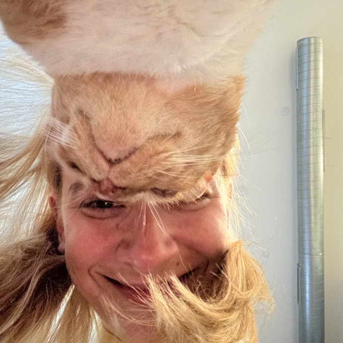 Cats Rule