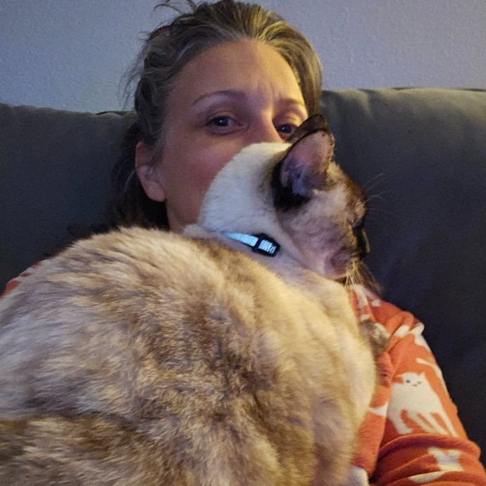Kitty Caretaker