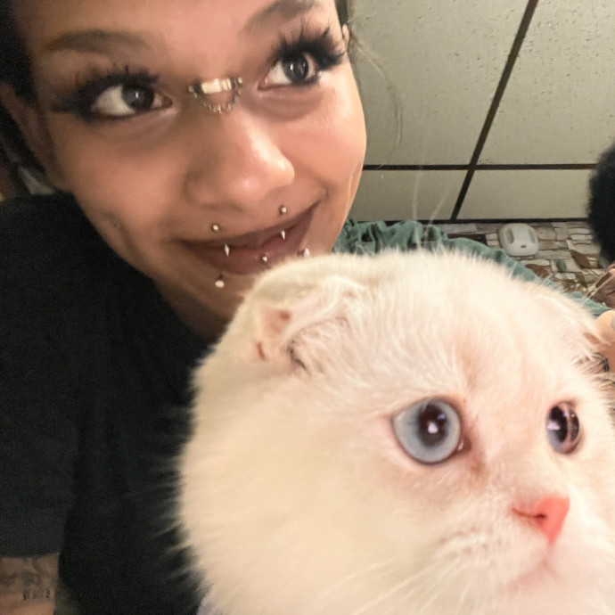 Mich's Kittie Care photo 3