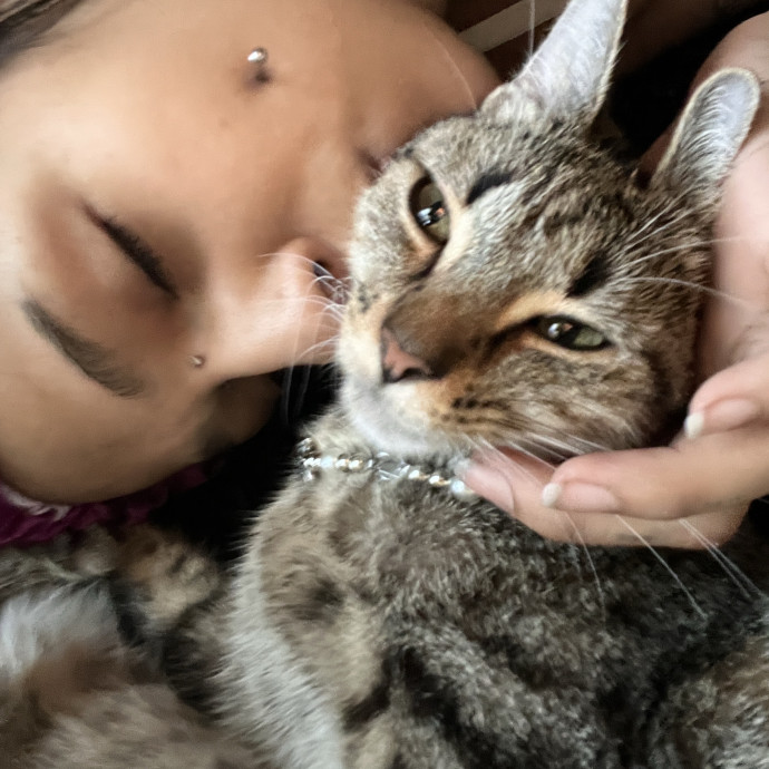 Mich's Kittie Care photo 2