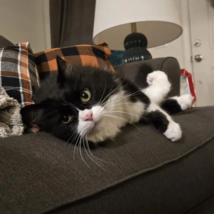 Kitty H.