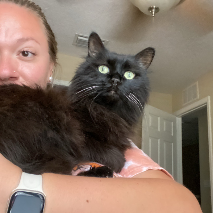 The Kittysitter photo 3