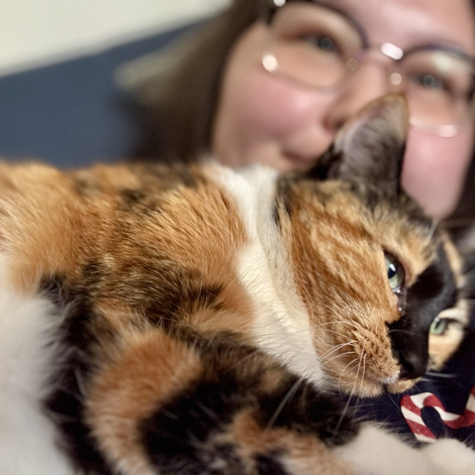  Behavior Specialist  Cat Whisperer