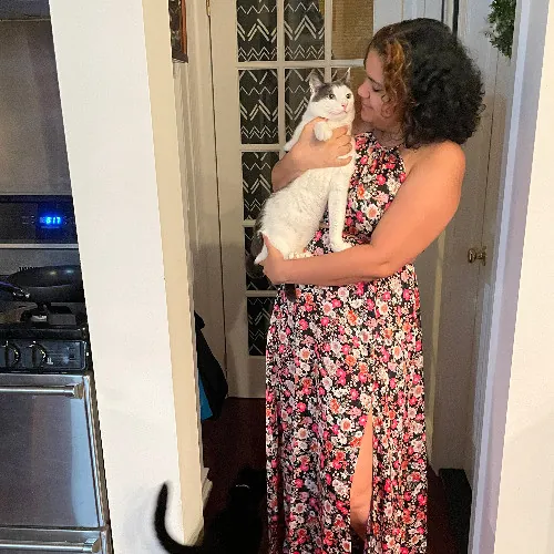 Erica's Sunnyside Cat Care