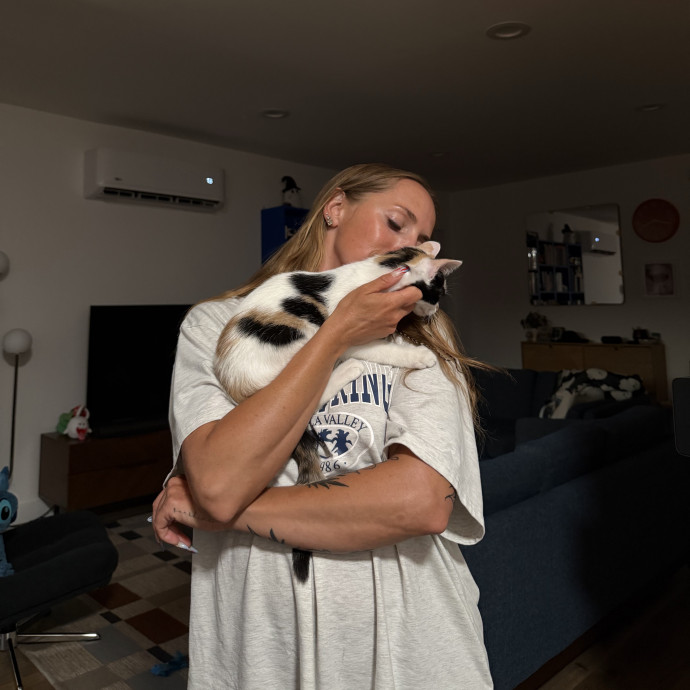 Reliable Kitty Lover