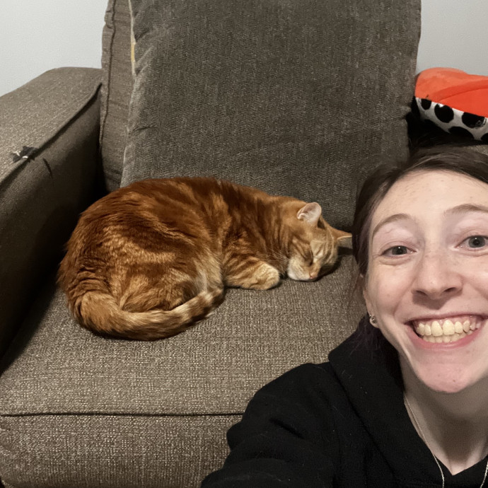 Play Purrs  Tlc For Your Kitty