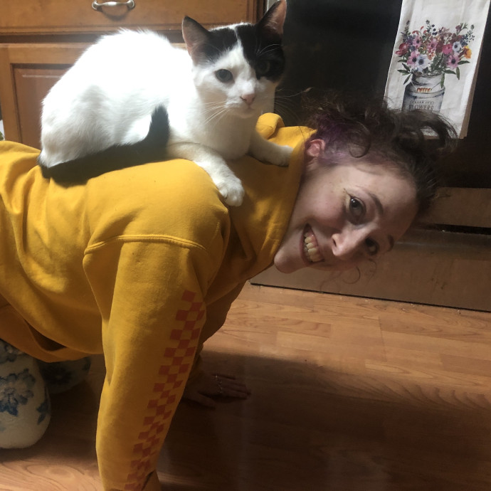 Play Purrs  Tlc For Your Kitty