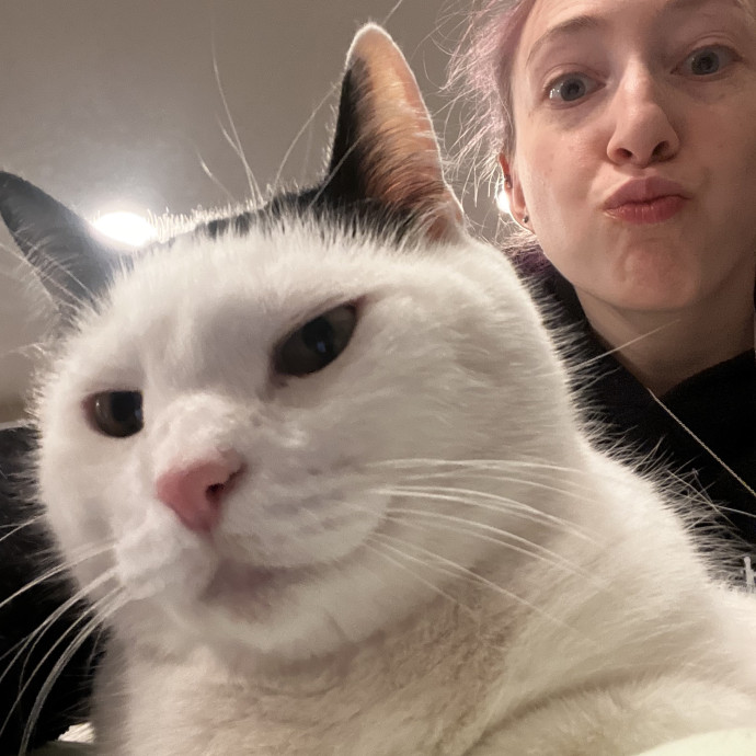 Play Purrs  Tlc For Your Kitty
