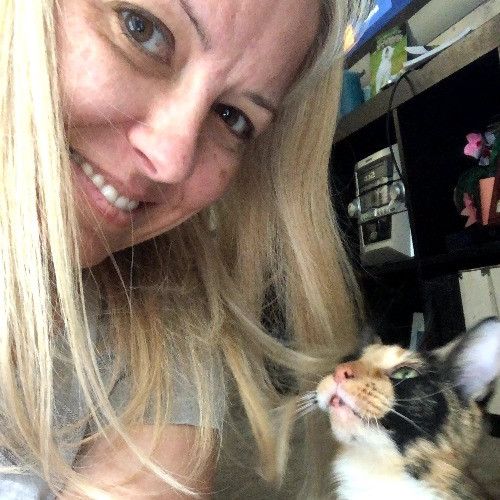 Lucky Kitty Cat Care