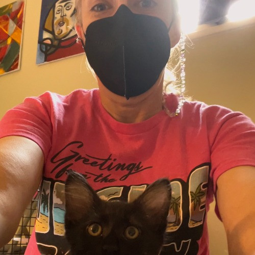 Lucky Kitty Cat Care