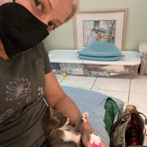 Lucky Kitty Cat Care