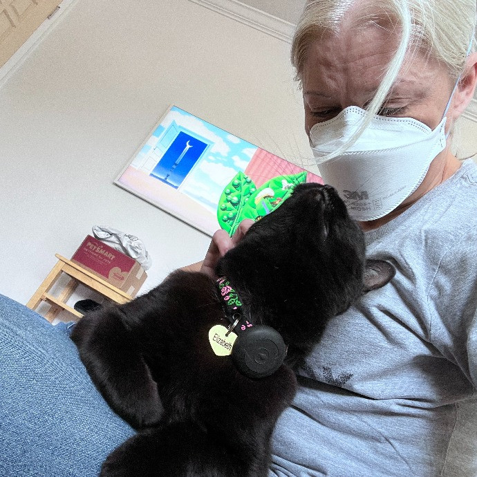 Lucky Kitty Cat Care