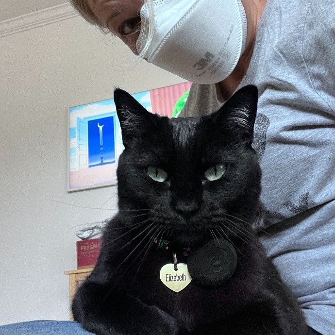 Lucky Kitty Cat Care