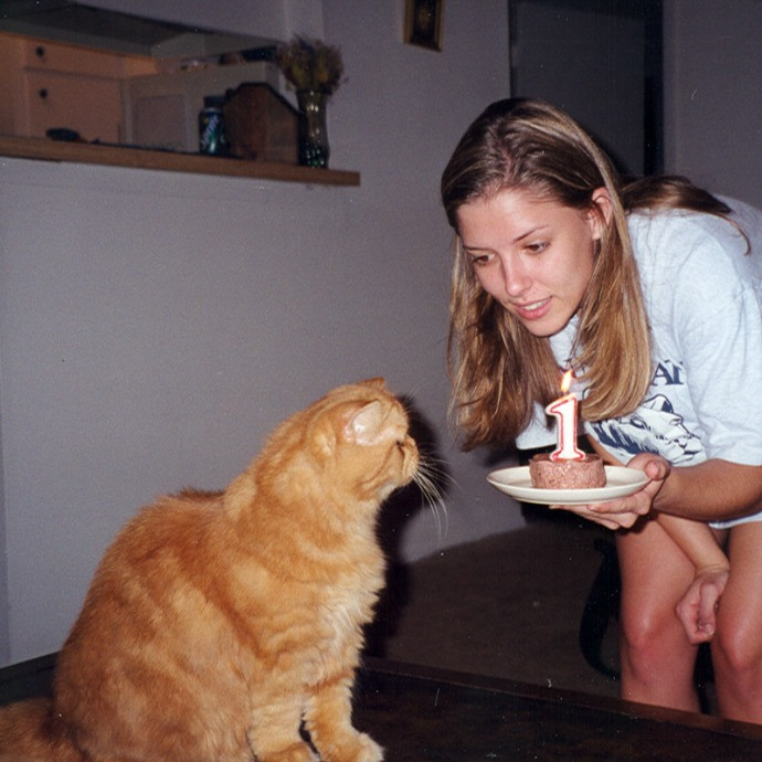 Lucky Kitty Cat Care