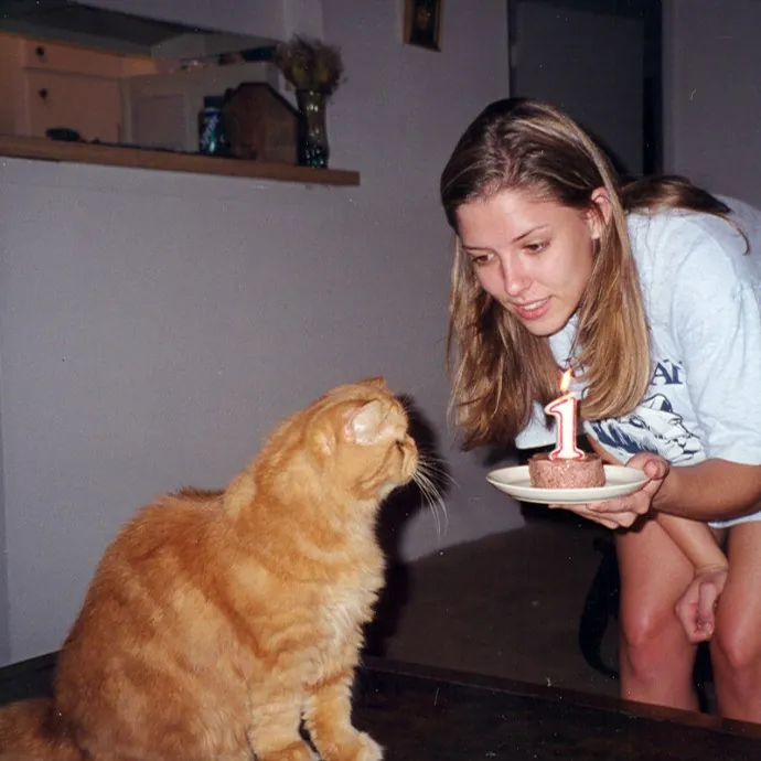 Lucky Kitty Cat Care