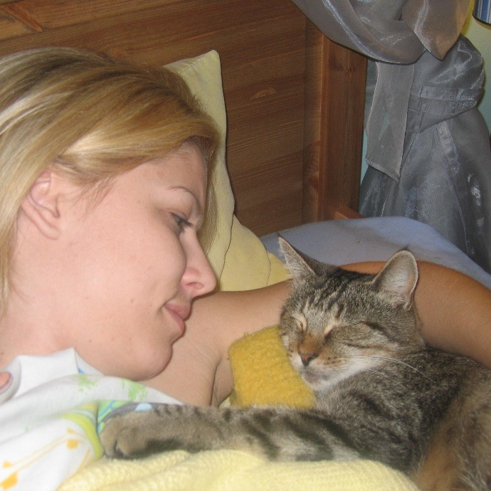 Lucky Kitty Cat Care