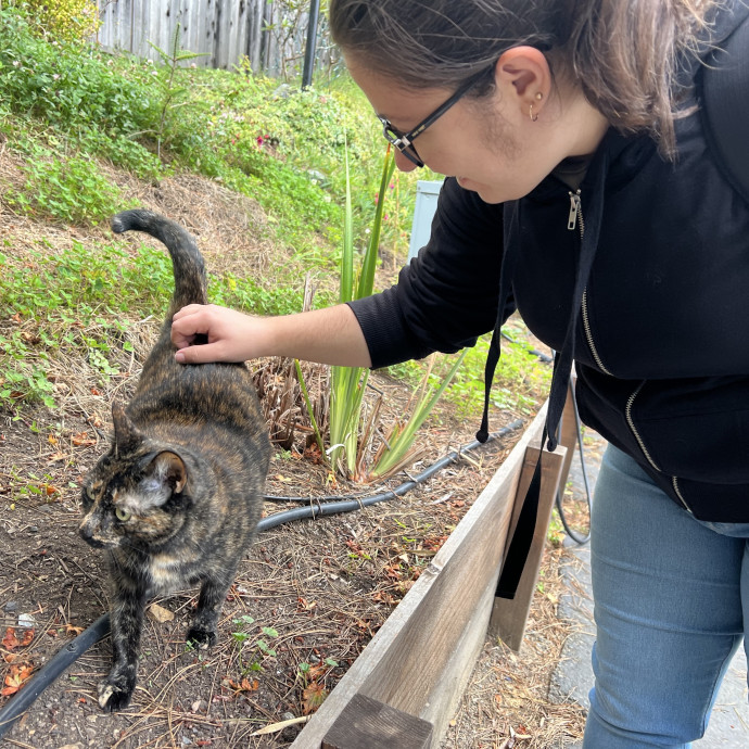 Purrfect Care With Samantha