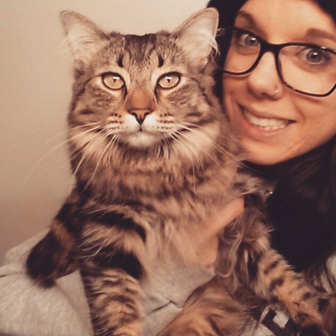The Reno Carson Tahoe Cat Nanny