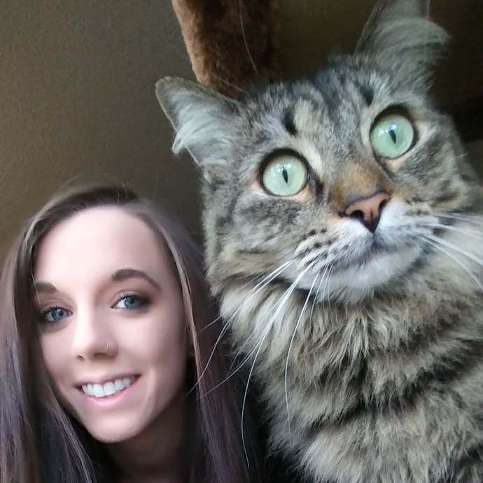 The Reno Carson Tahoe Cat Nanny photo 3