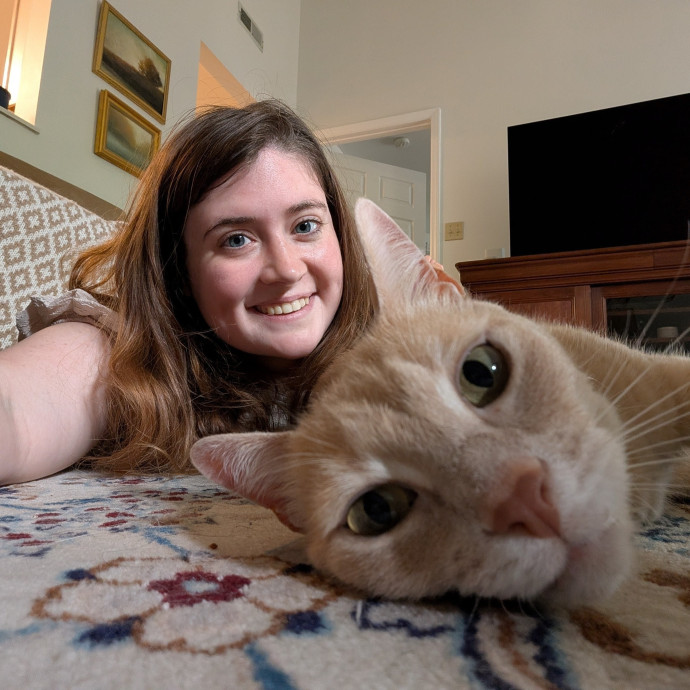 Brianna's Cool Cats And Kittens Care