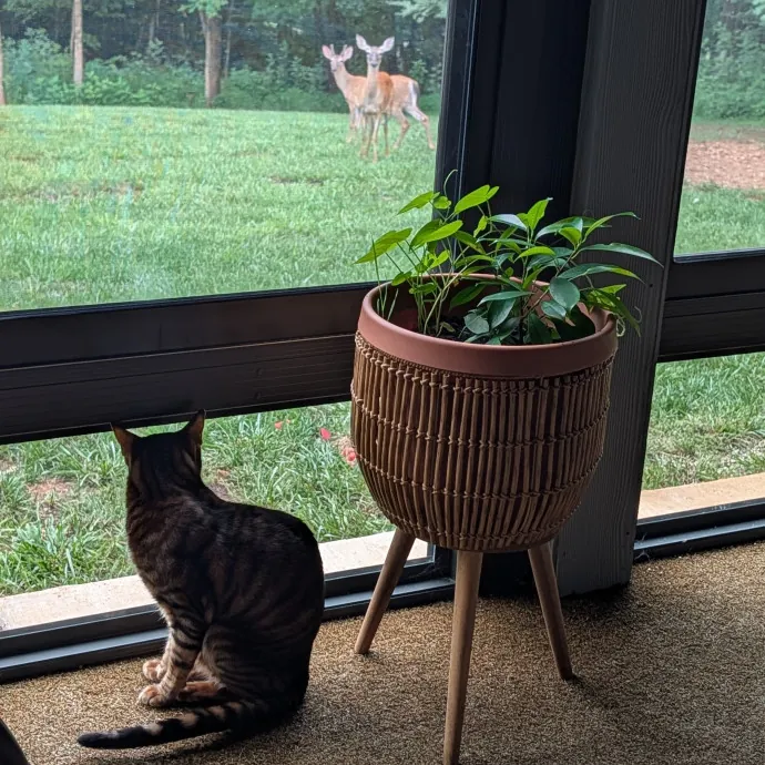 Brianna B.