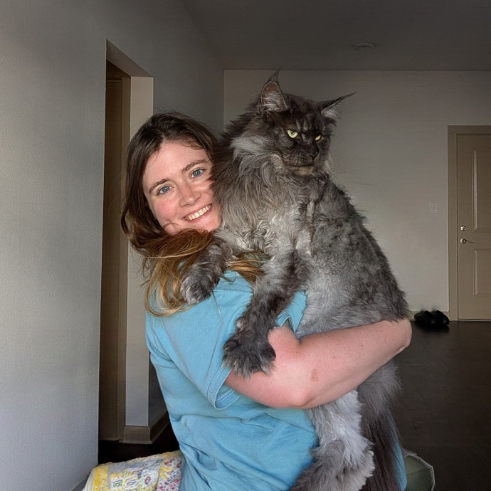 Brianna's Cool Cats And Kittens Care