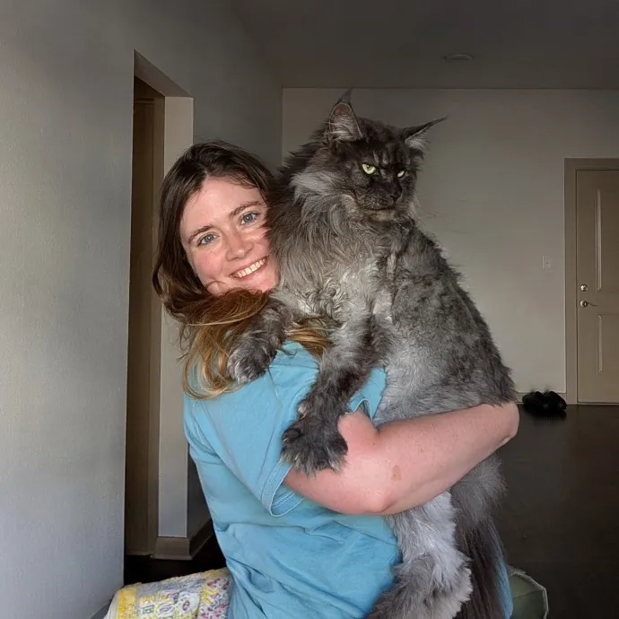 Brianna's Cool Cats And Kittens Care