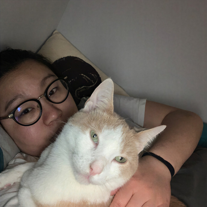Amy Kitty Sitty Care